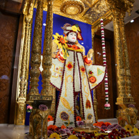 Daily Darshan